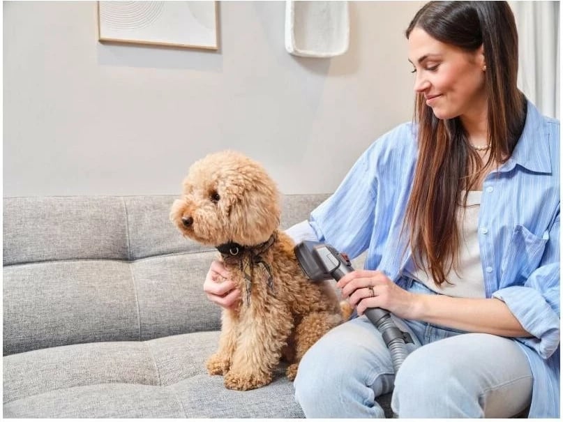 Fshesë me korrent pa kabllo ETA Terier 524790000, 25.2V, filter HEPA, e zezë