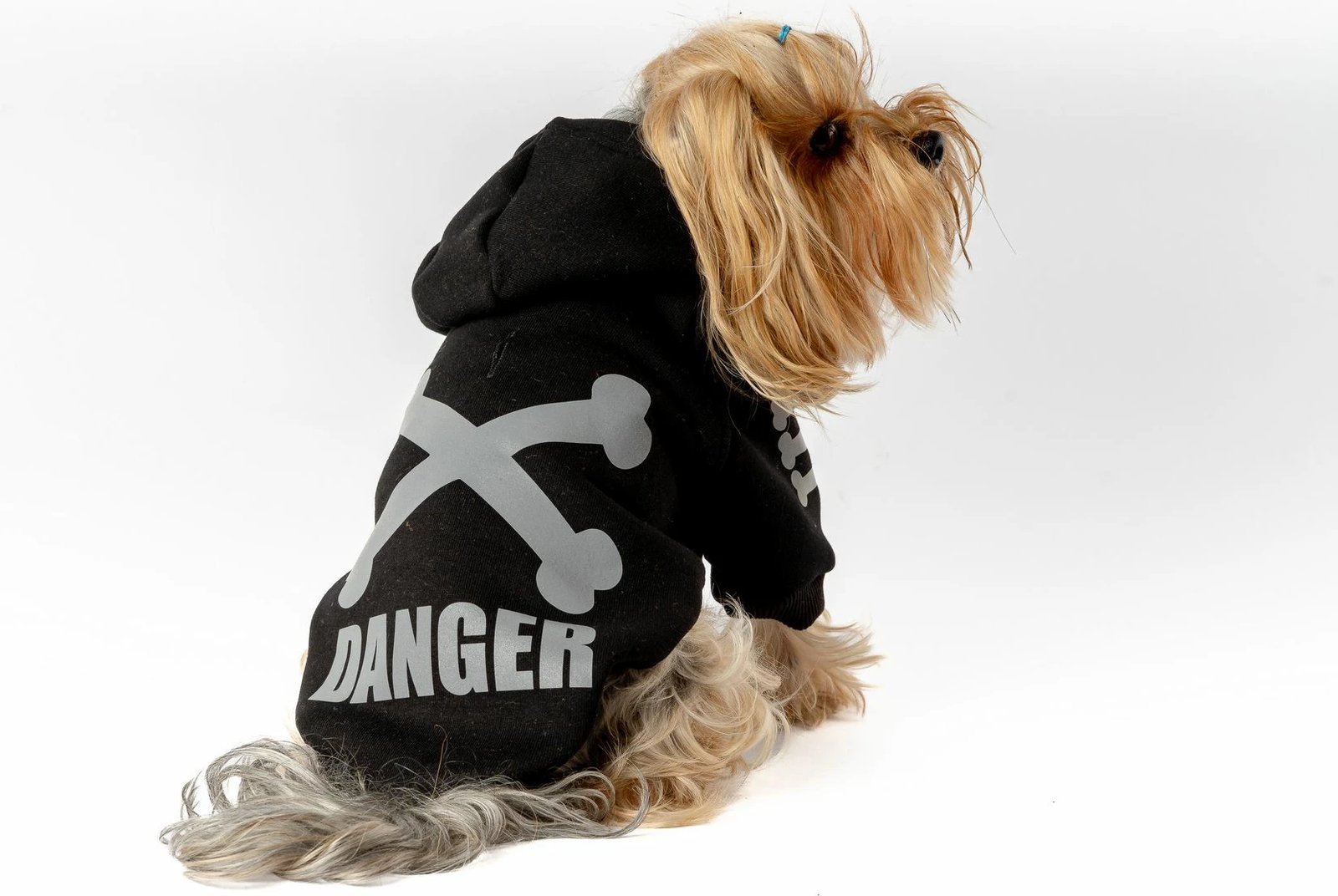 Bluze me kapuç për qen, e zezë, Danger