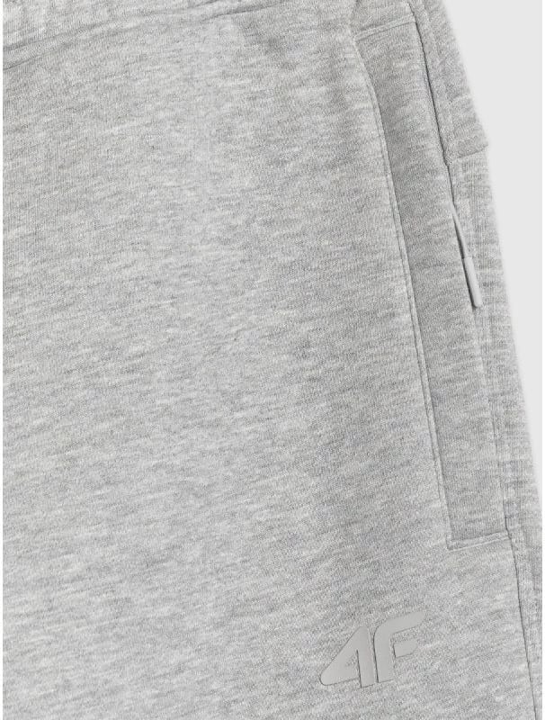 Pantallona sportive për meshkuj 4F