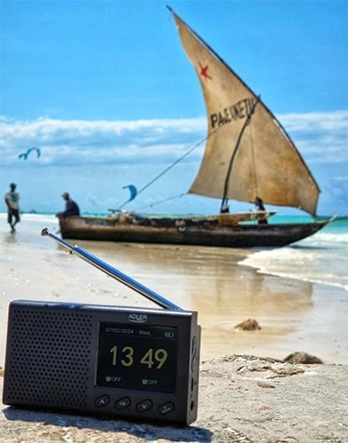 Radio portative FM, Adler AD 1198, Bluetooth 5.0, ekran LCD me ngjyra 2.4", memorie 20 stacione, bateri 1200 mAh