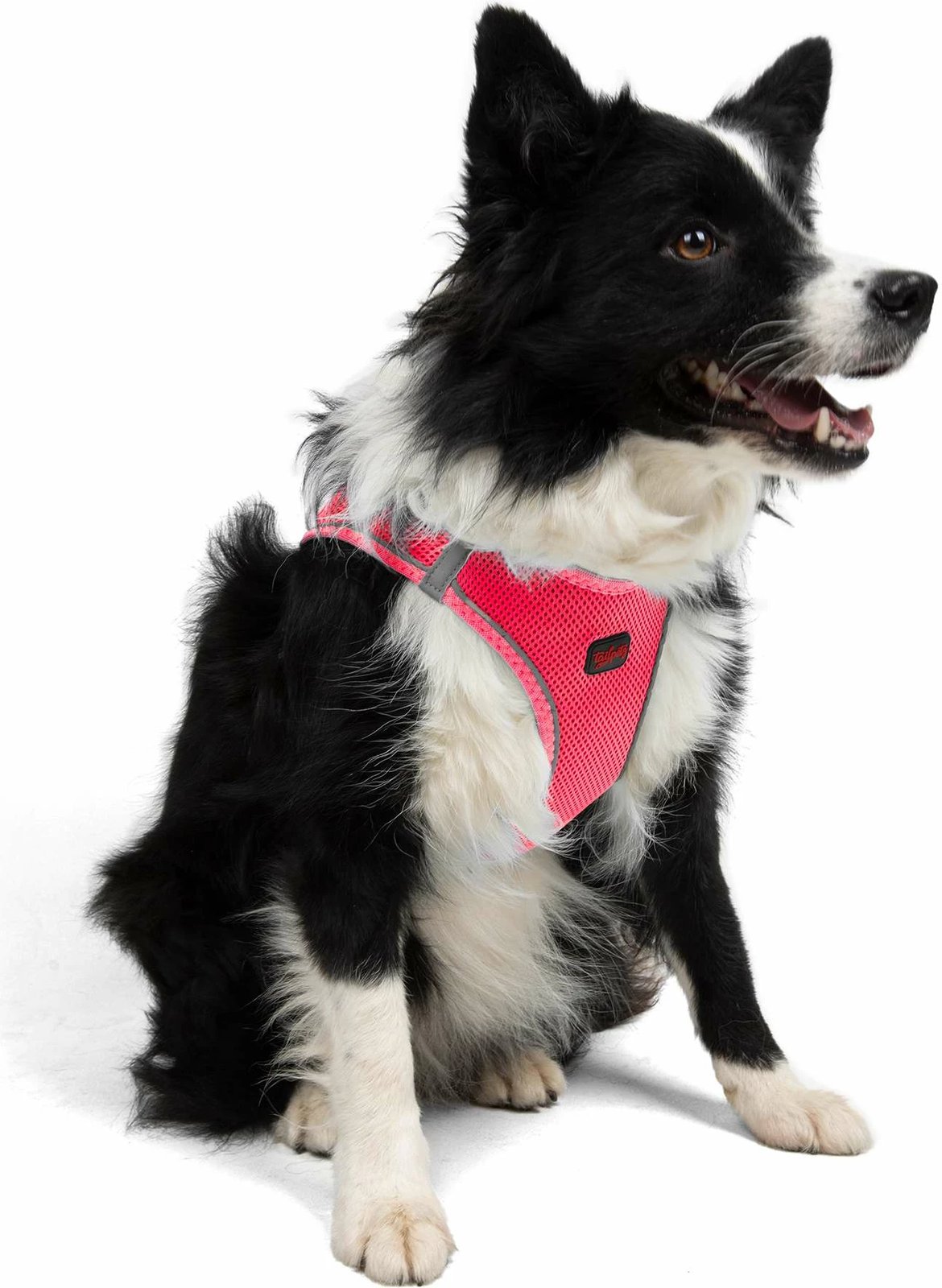 Parzmore për qen, Air-Mesh, ngjyrë Neo Pink