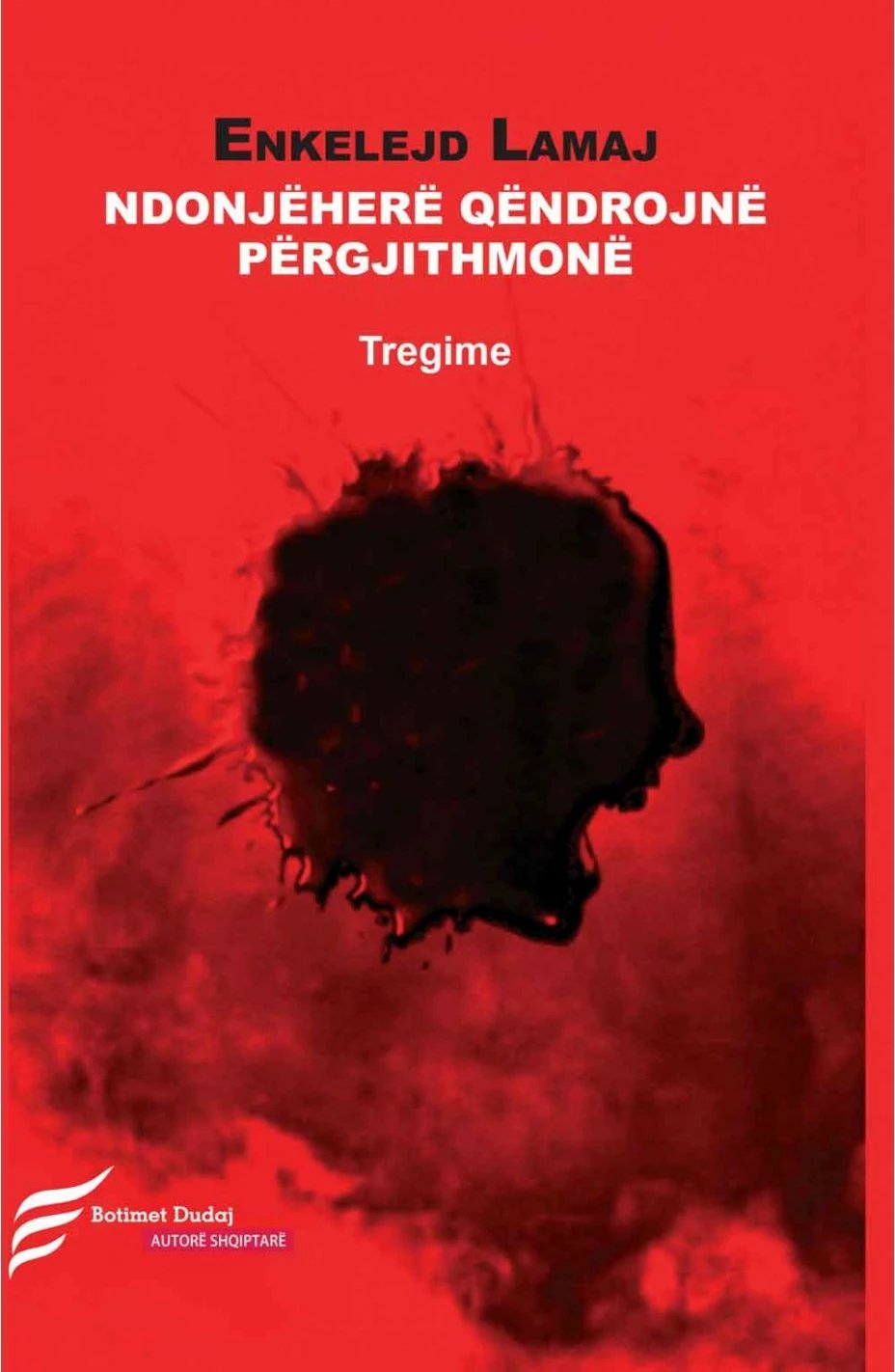 Ndonjehere Qendrojne Pergjithmone - Enkelejd Lamaj