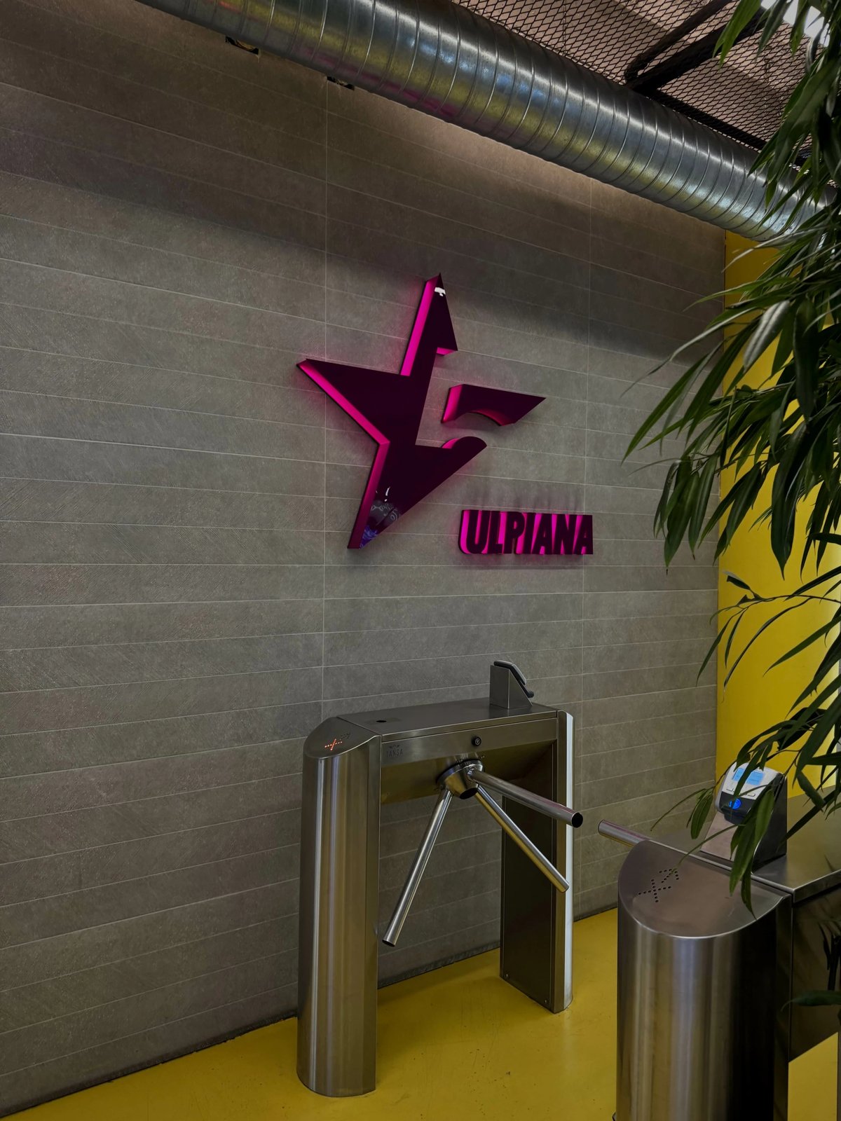 Pako fitnesi Fitstar UniClub, 3 mujore