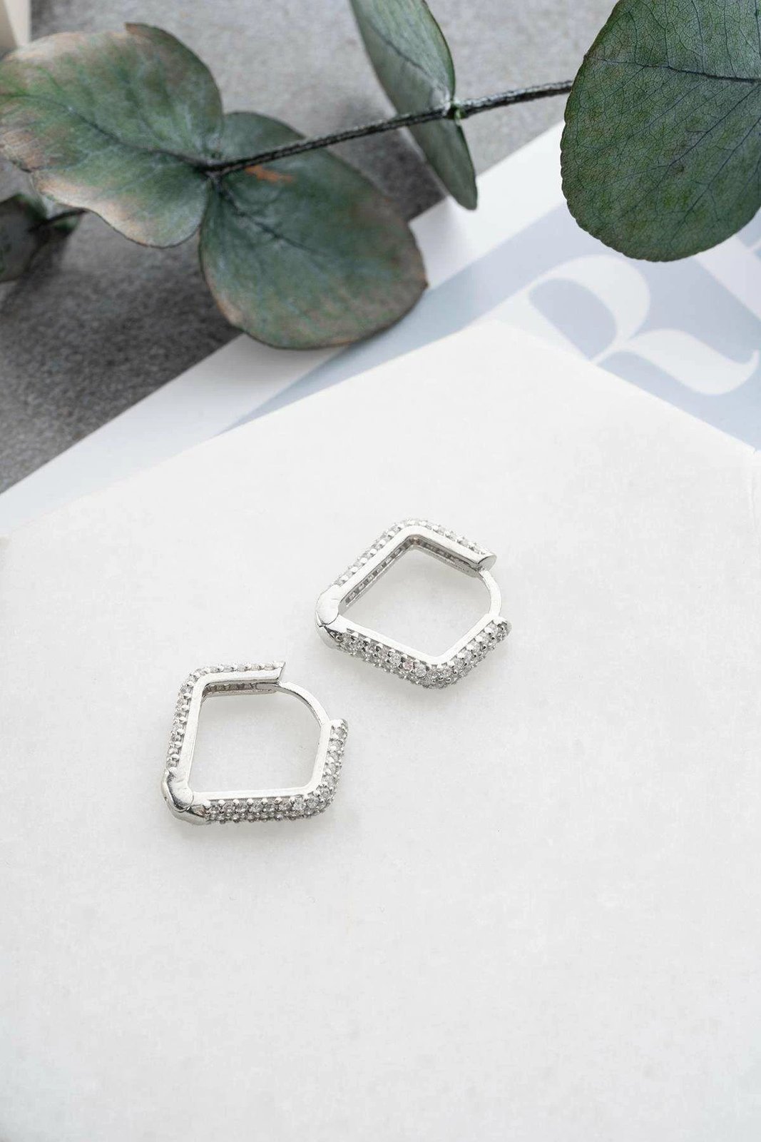 Vathë argjendi, Jumeon, NRZ1000312