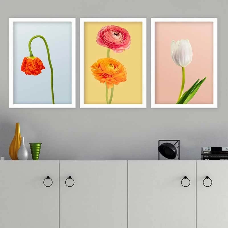 Pikturë dekorative me kornizë (3 copë), Wallity, 3BC_41955467_5575