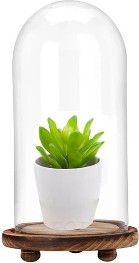 Zile qelqi me bazë druri NEXT H28cm Ø15cm Zile qelqi me bazë druri NEXT H28cm Ø15cm