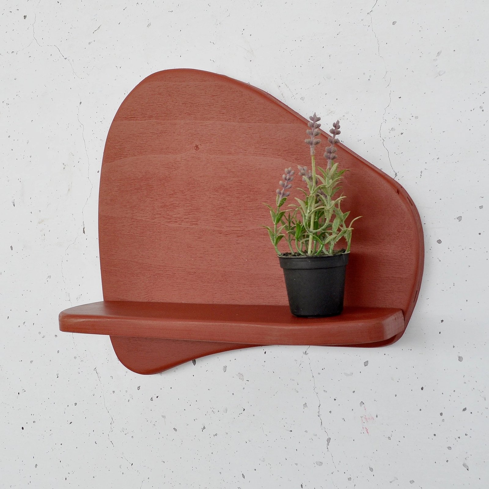 Raft dekorativ muri, dru i kuq, Skye Decor, Meh221, 35x32x11cm