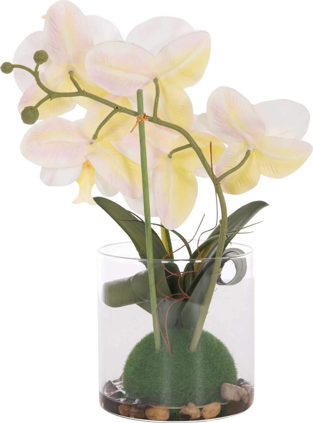 Lule dekorative sintetike Phalaenopsis në vazo qelqi, 12x24x30cm