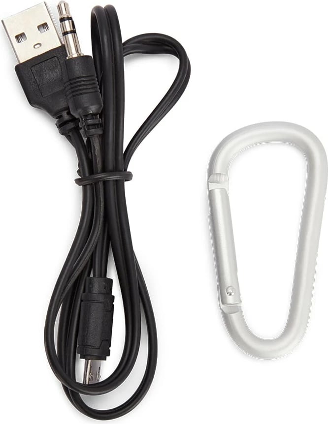 Altoparlant Portativ AIWA BS-110BK (Zezë)