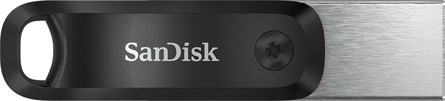 USB stick Sandisk iXpand SDIX60N-128G-GN6NE, 128GB, USB 3.2 Gen 1, swivel, gri/argjend