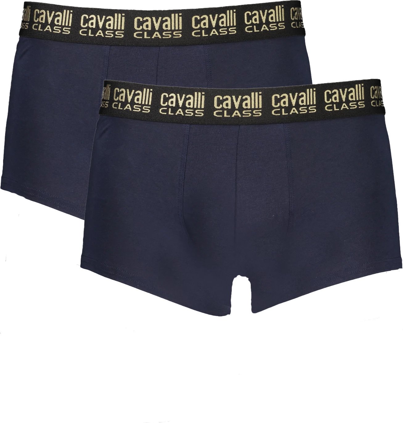 Të brendshme për meshkuj CAVALLI CLASS, blu