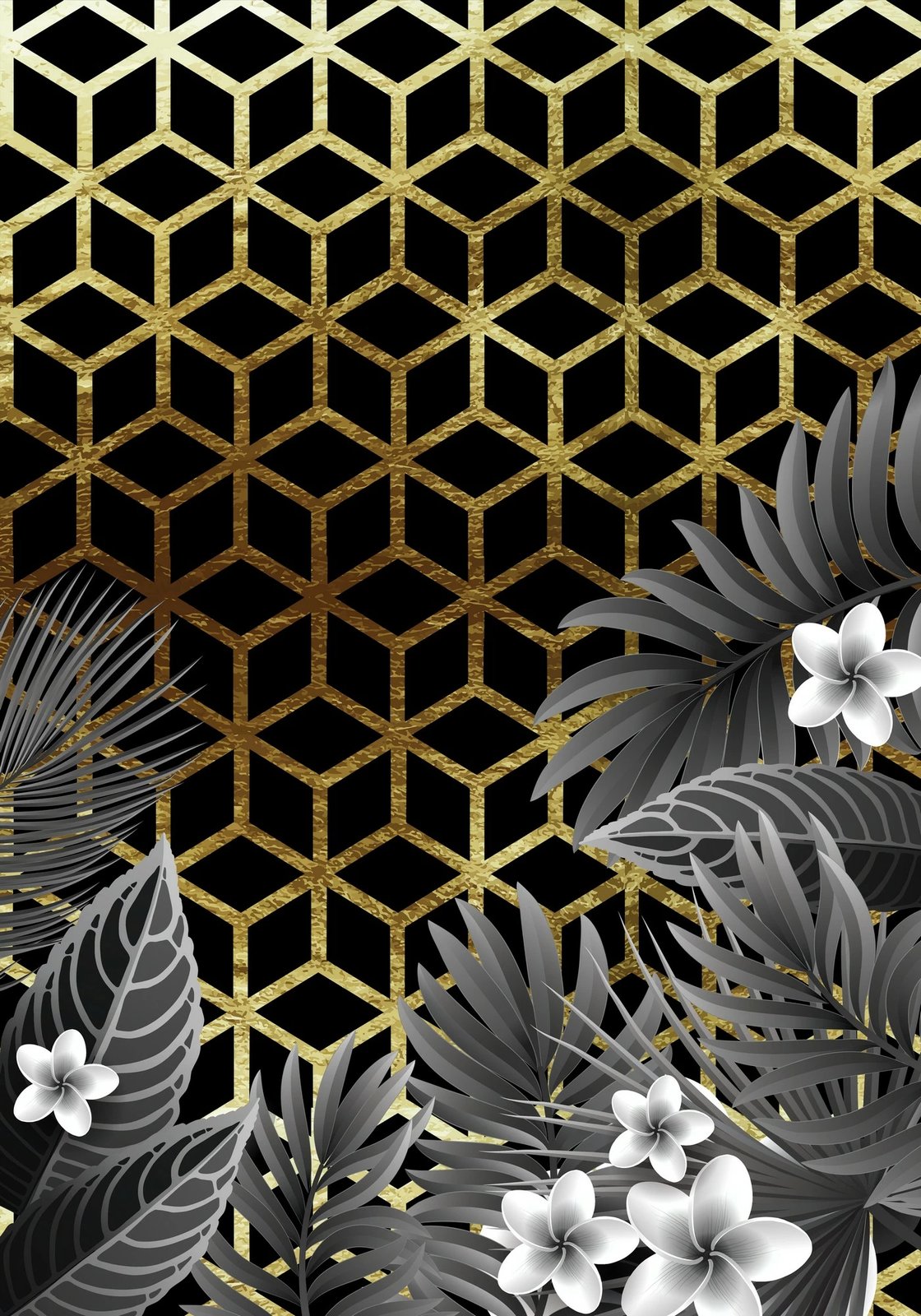 Set tapetesh për banjo (2 copë), Mijolnir, CT-5002