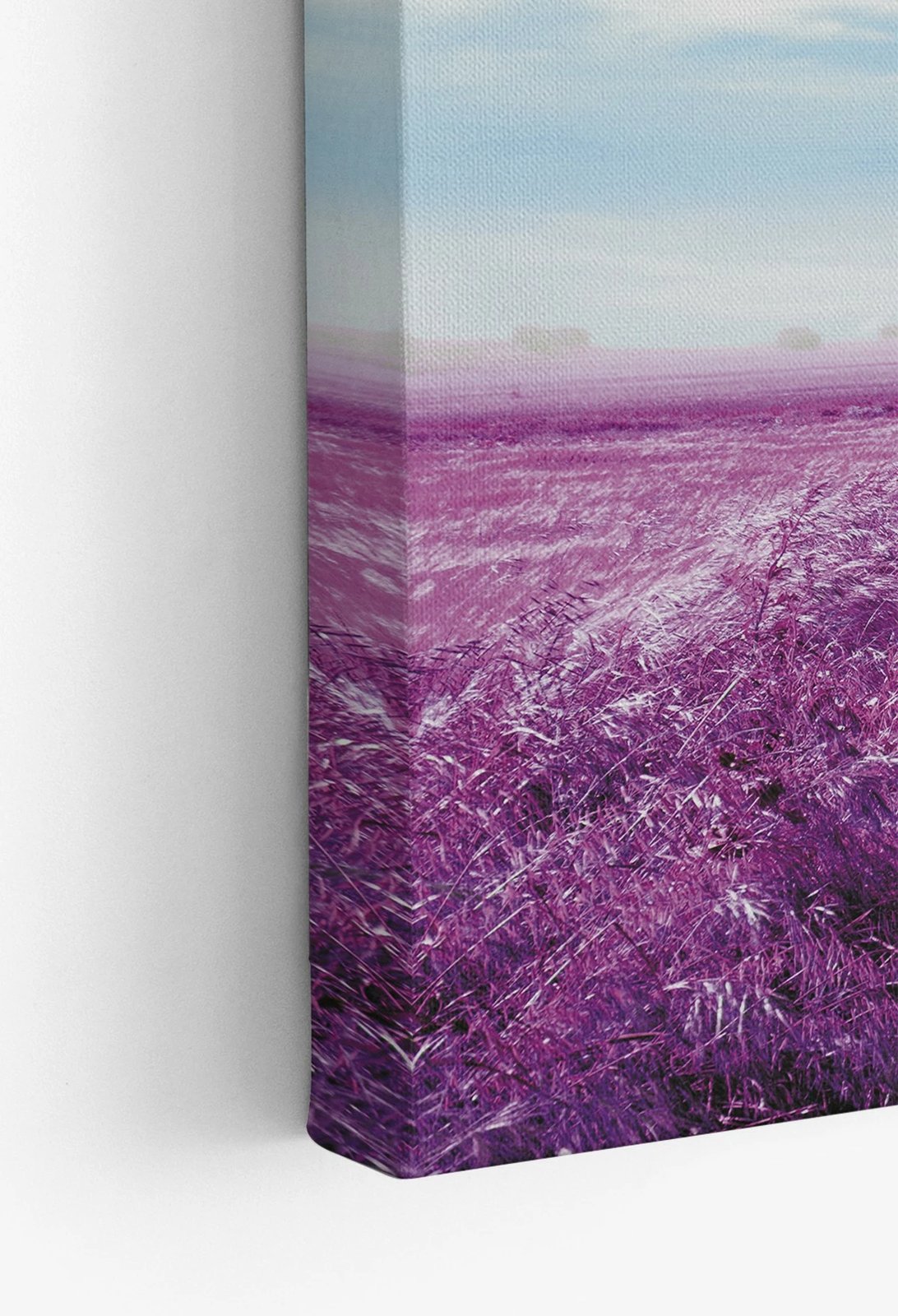 Pikturë dekorative në kanavacë, shumëngjyrëshe, Wallity Ersyfdc57, 50x70cm