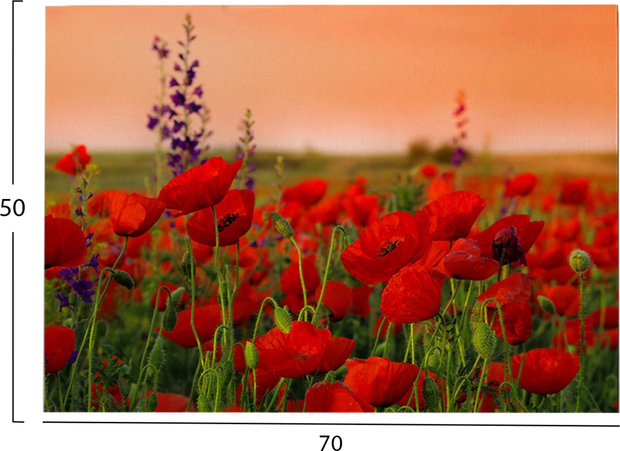 Pikturë muri GOBI FH4760, kanavacë e printuar, 70x3x50cm