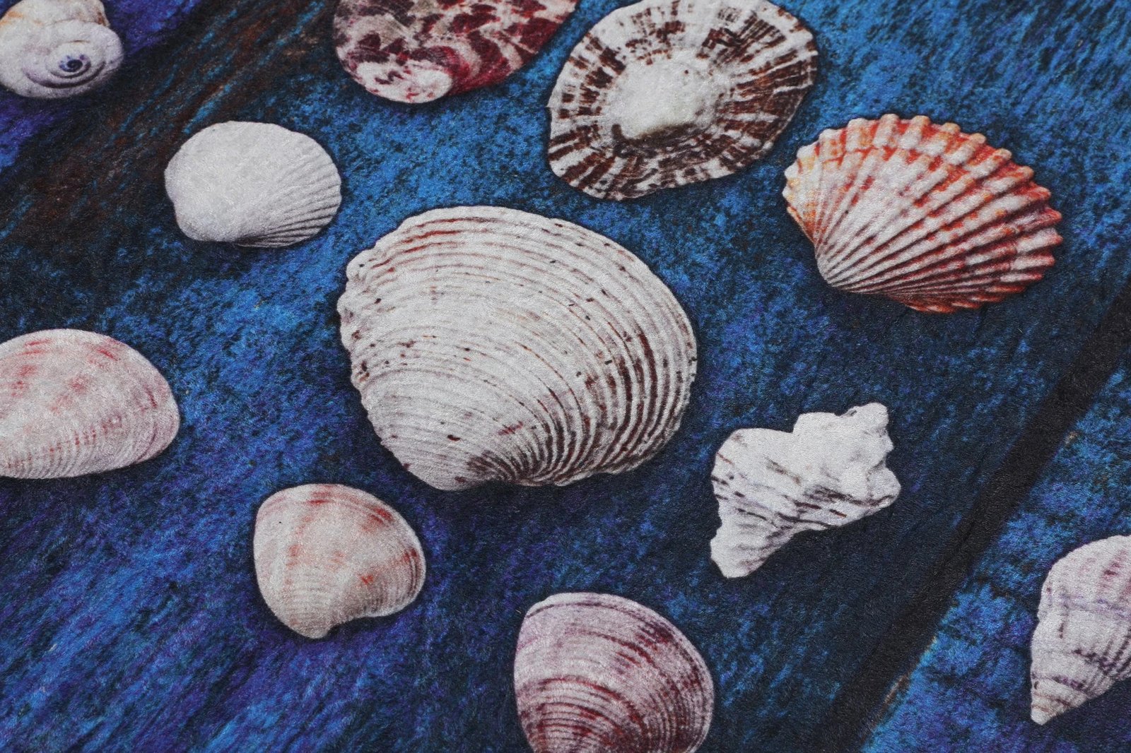 Tapet për banjo Mijölnir, me guaska deti, 80x100cm