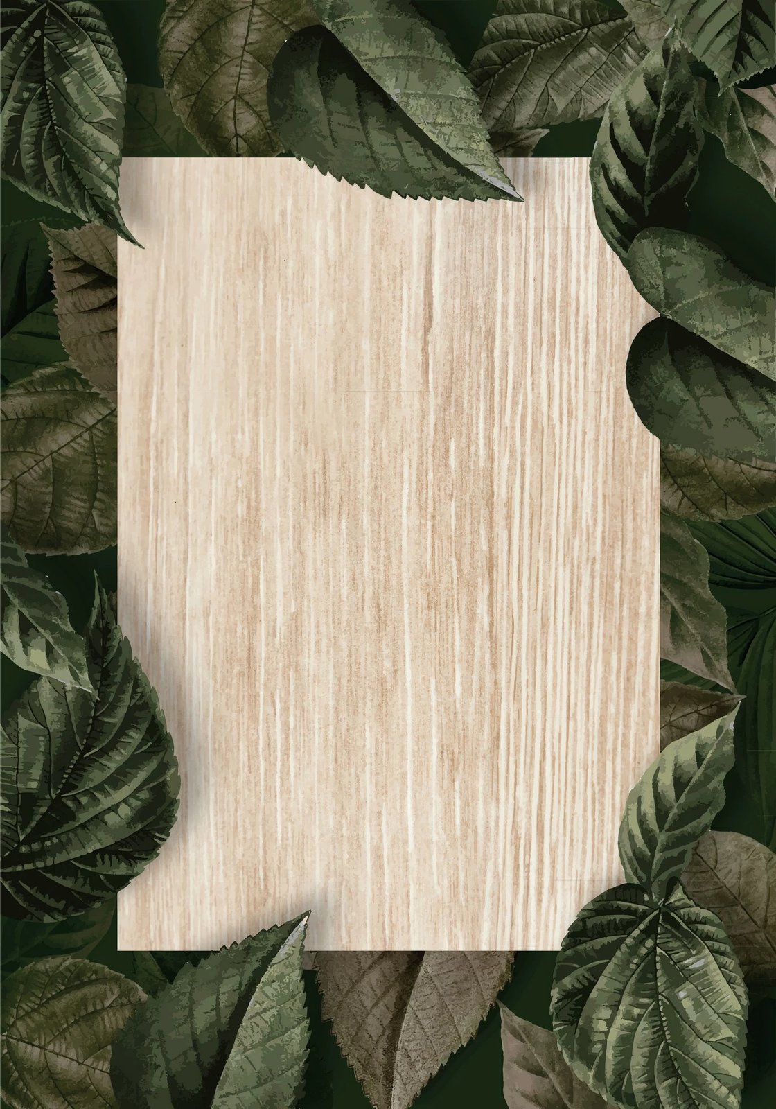 Set tapetash për banjo, 2 copë, Mijolnir, CT-5339