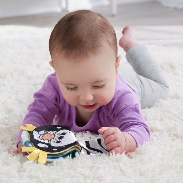 Lodër pelushi Fisher Price Swung Winder 2-in-1, HXG96, portokalli Lodër pelushi Fisher Price Swung Winder 2-in-1, HXG96, portokalli