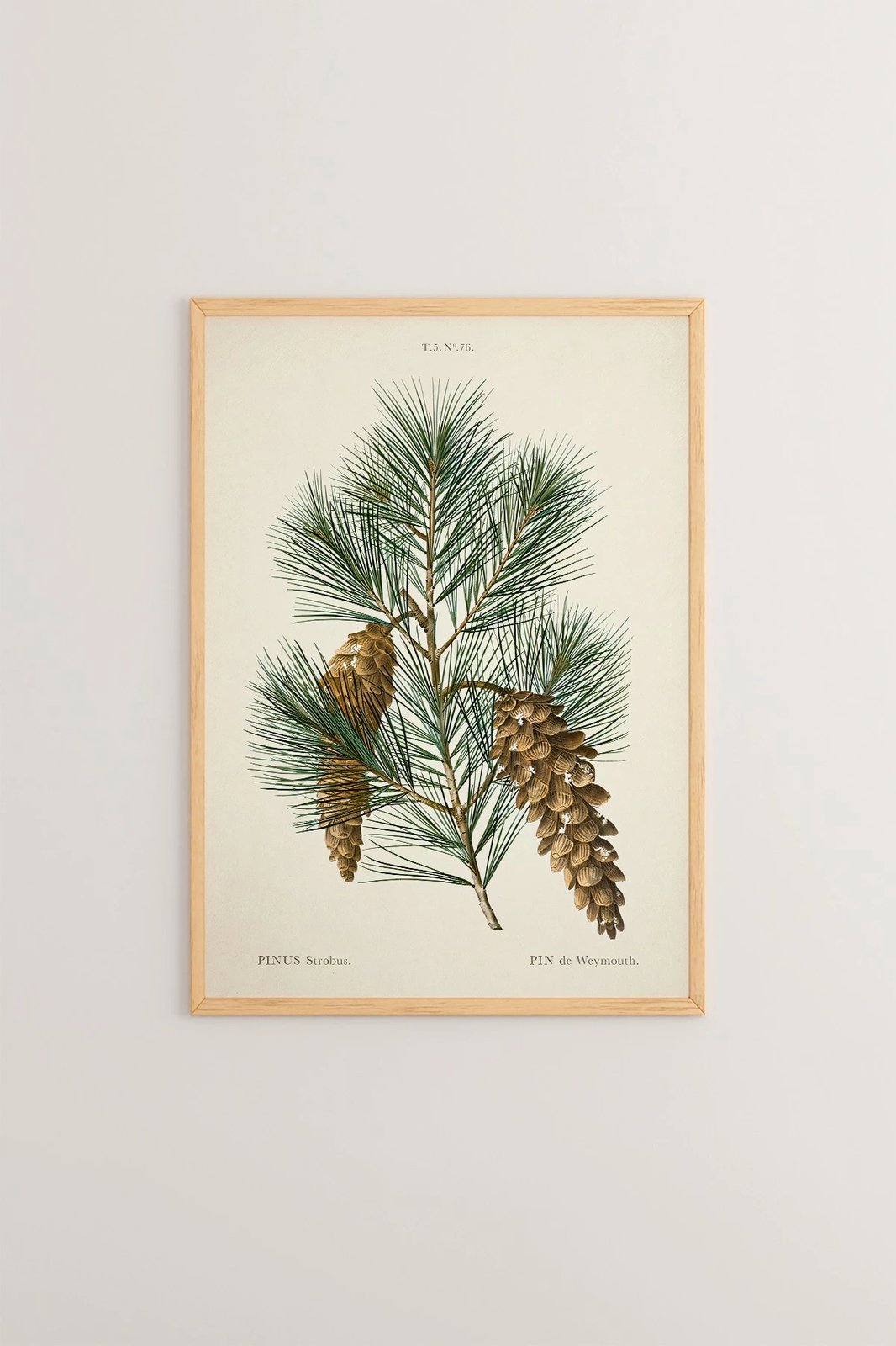 Pikturë dekorative me kornizë, Wallity, Tekhamcerceve64, shumëngjyrëshe, 33x48cm