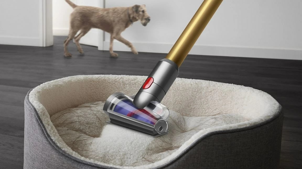 Fshesë me bateri Dyson V12 Detect Slim Absolute, LCD, HEPA, pa qese, Ari