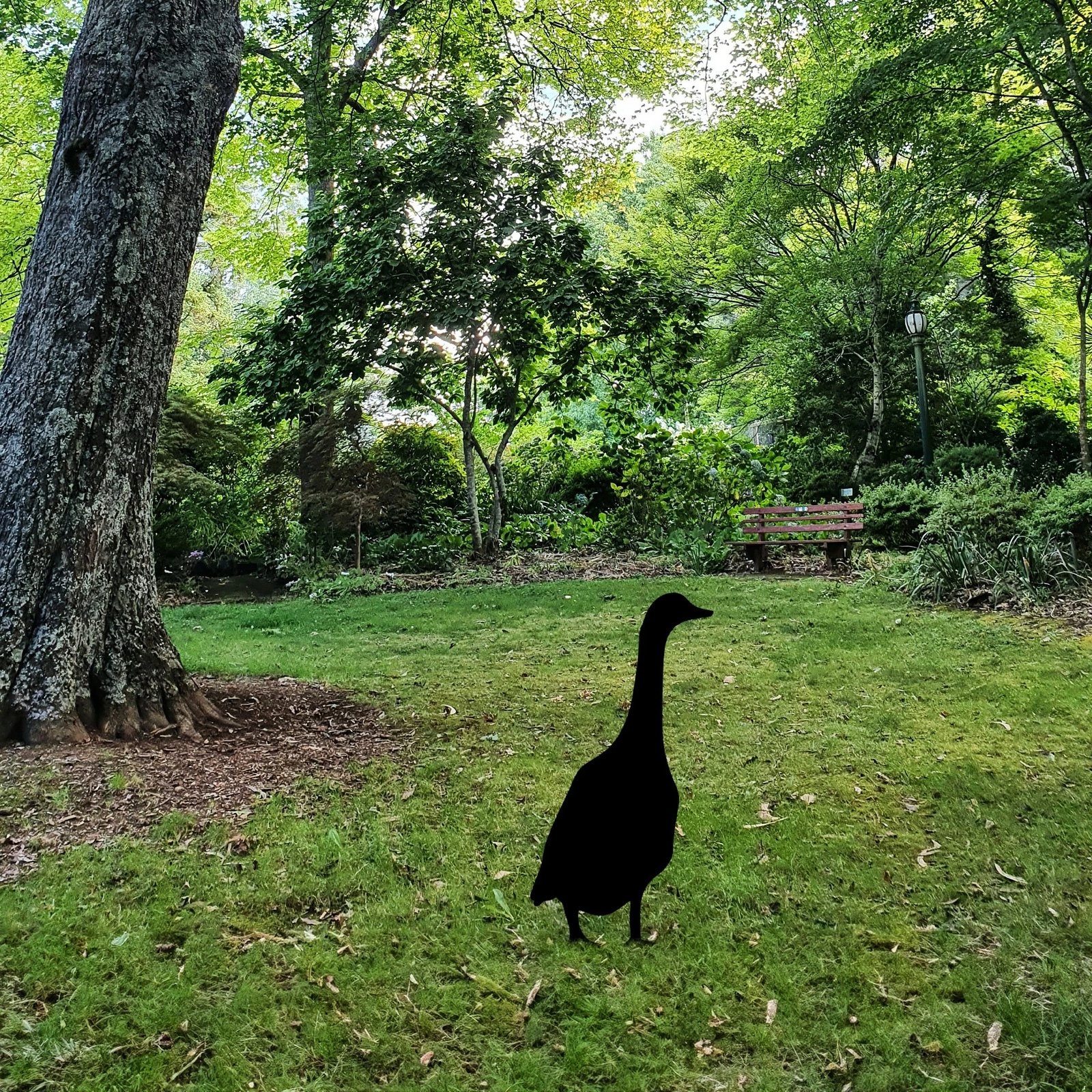 Dekor për kopsht, objekt dekorativ, patë, Aberto Design, ngjyrë e zezë, 65x26cm