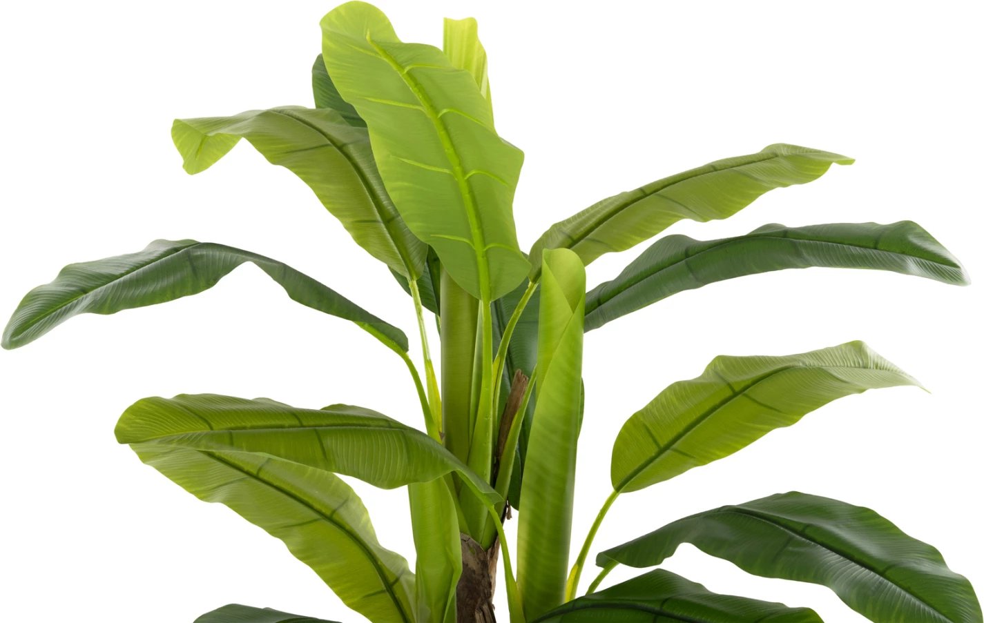Bimë sintetike dekorative, FH7968, banane në vazo, 123H cm. e gjelbër