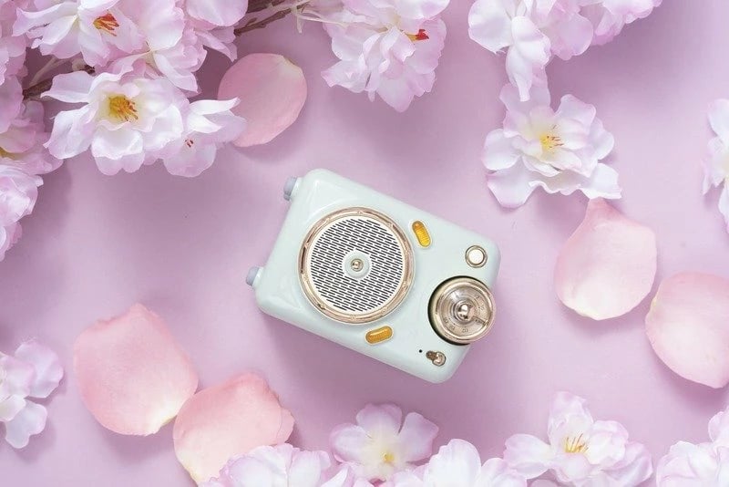 Mikrofon & Altoparalant DIVOOM Fairy-ok (Mint)