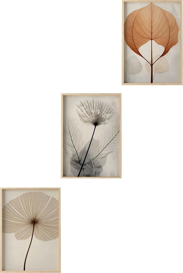 Pikturë dekorative me kornizë MDF (3 copë), Wallity, Huhu481, 50x70 cm