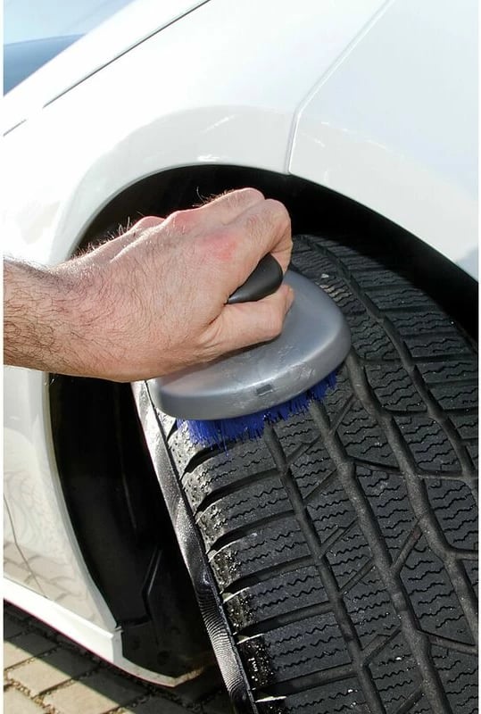 Brushe Pastruese Fellne &amp; Gome