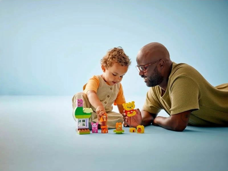 Lodra konstruktive Lego për fëmijë, Winnie the Pooh