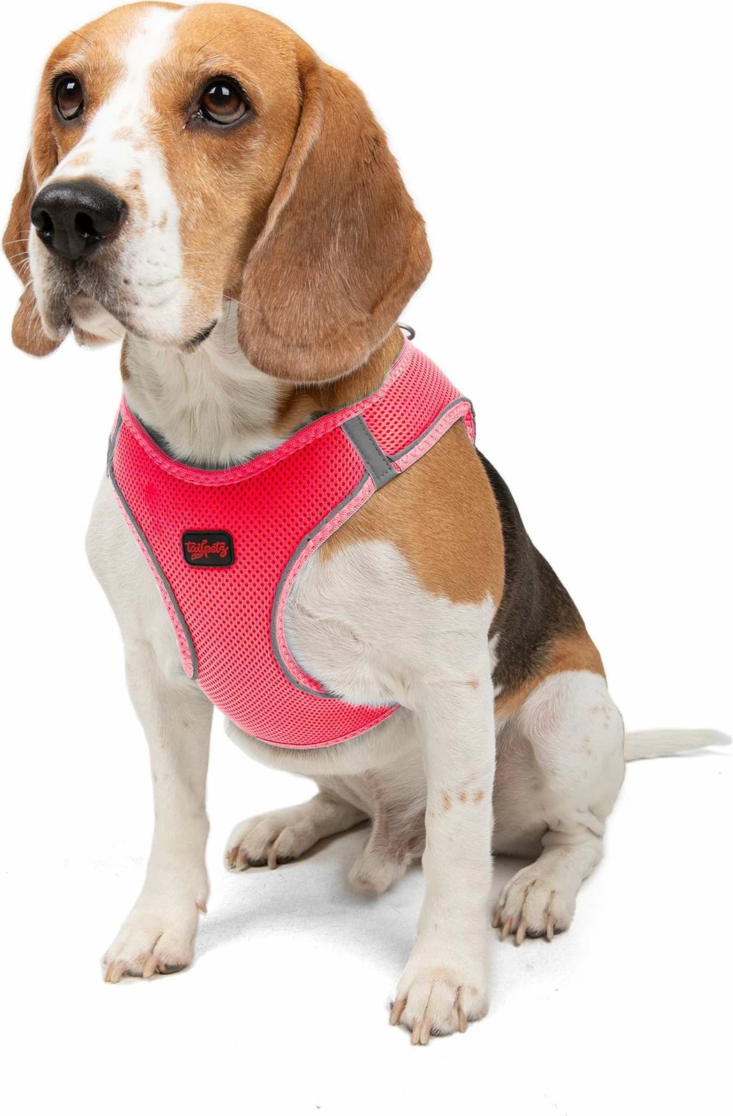 Parzmore për qen, Air-Mesh, ngjyrë Neo Pink