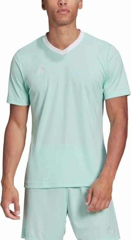 Maicë adidas për meshkuj, e gjelbër