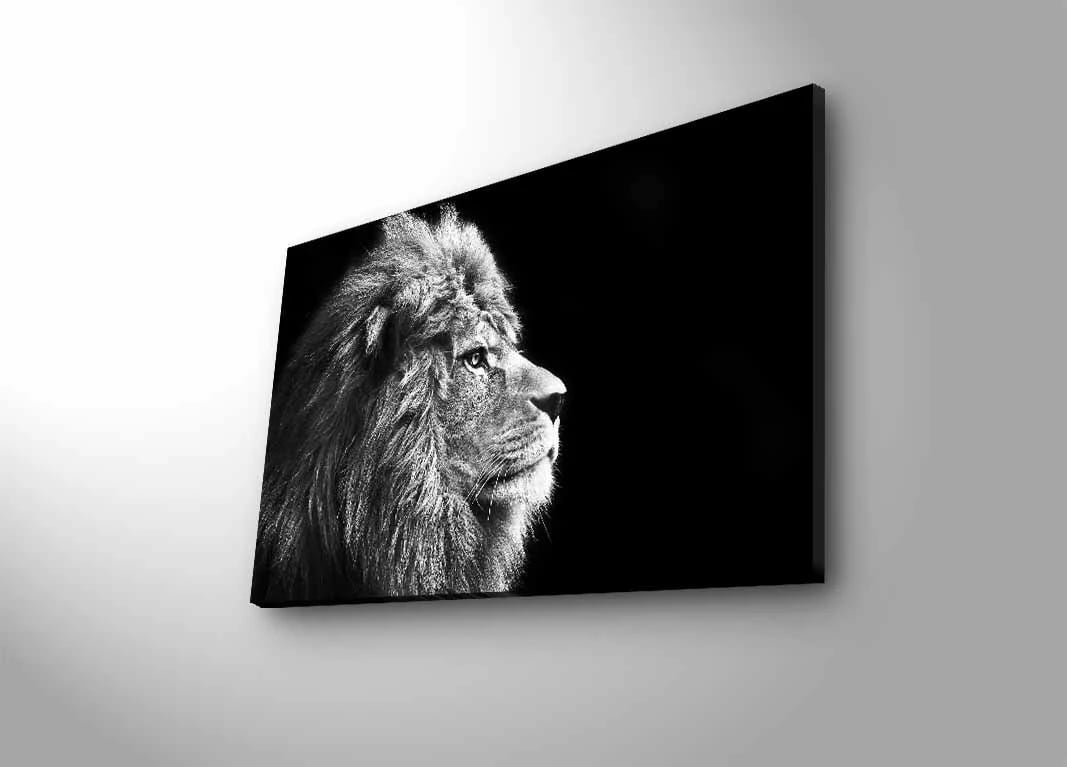 Pikturë dekorative me dritë LED, kanavacë, shumëngjyrëshe, 45x70cm, 4570DHDACT-058