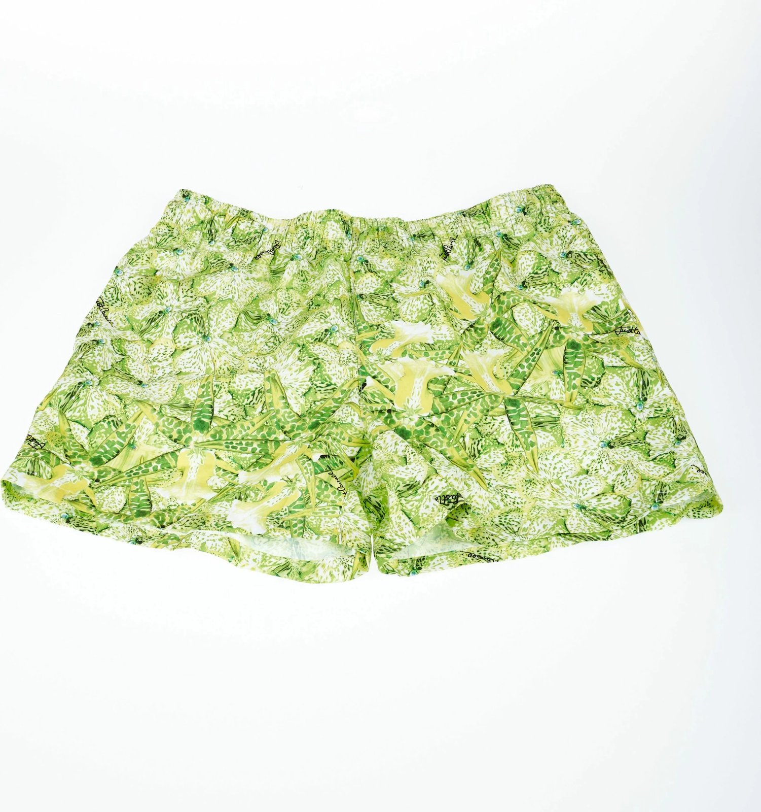 Shorce plazhi për meshkuj Just Cavalli Beachwear, të gjelbërta