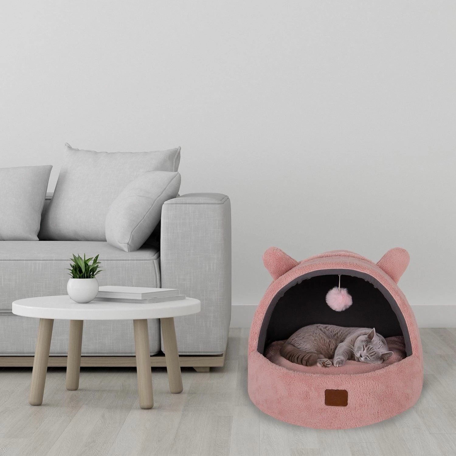 Shtrat për kafshë, Tom Cat, rozë