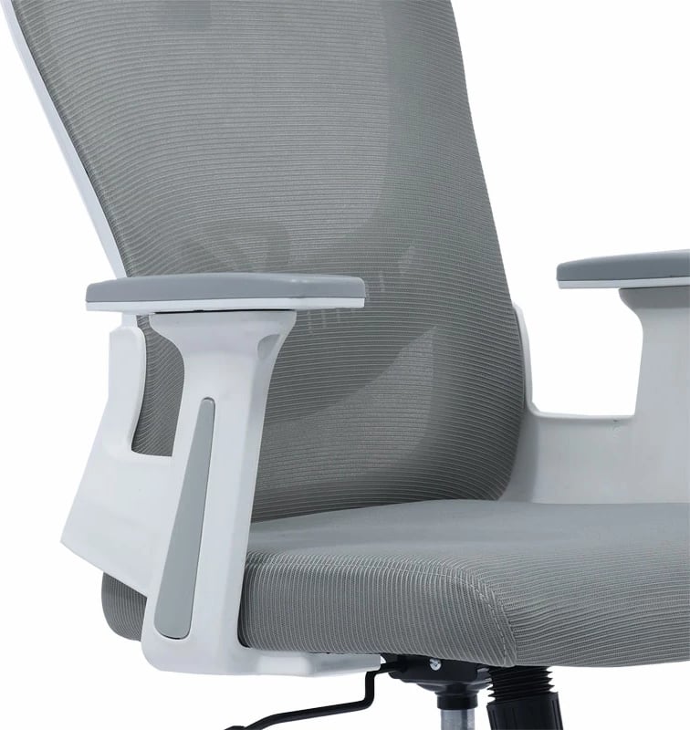 Karrige për zyre Ignatius, hiri