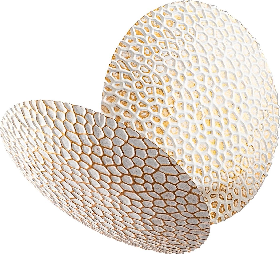 Llambë muri Opviq, Yosma-13646, e bardhë dhe e artë