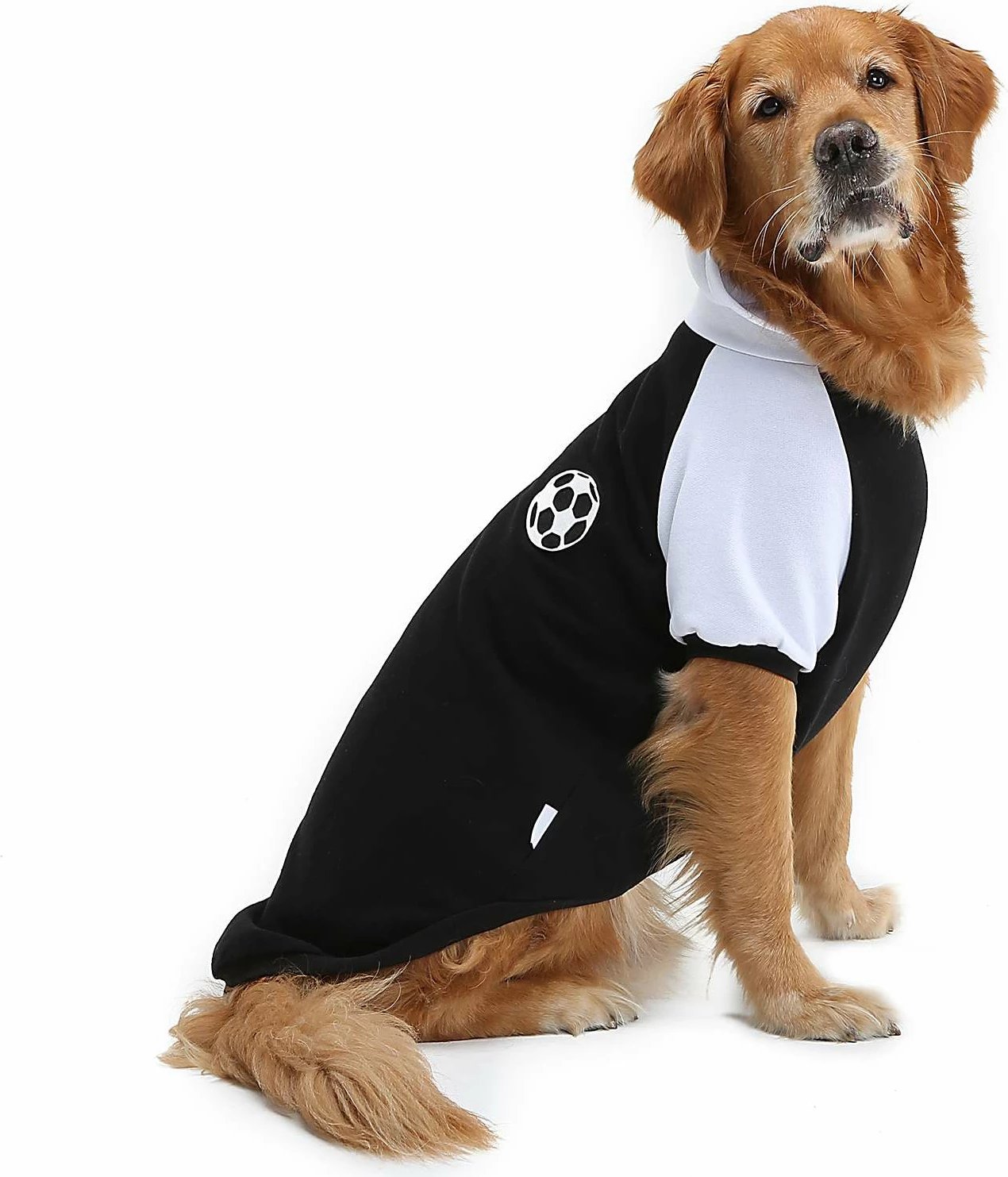 Bluzë për qen, e zezë, Paws & Whiskers, Blackballsweat