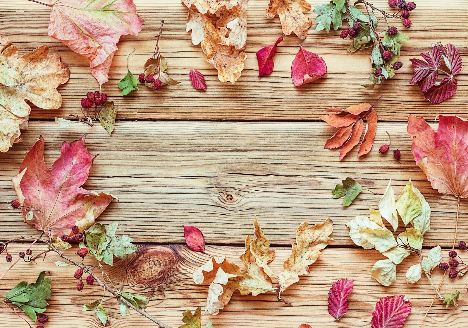 Set tapetesh për banjo (2 copë), Mijolnir, CT-5211