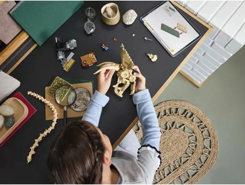 Lego set Jurassic World, fëmijë