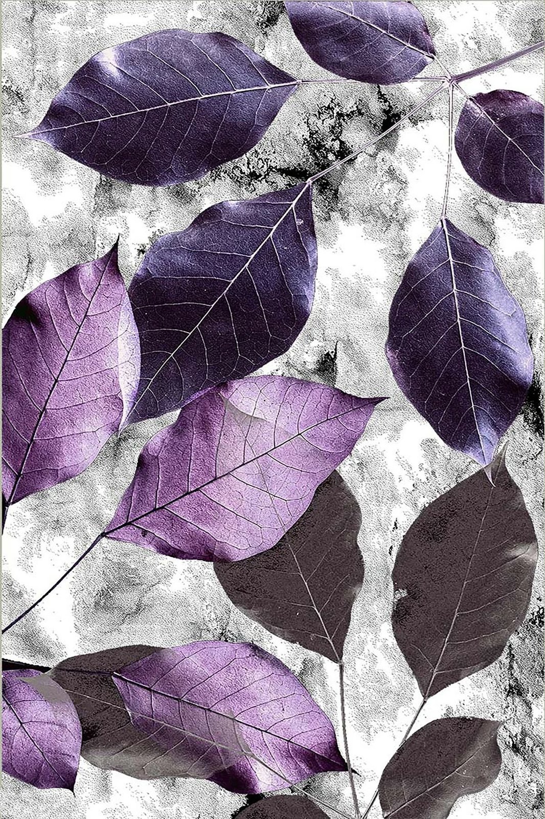 Qilim (80 x 120) Conceptum Hypnose, Hmnt572