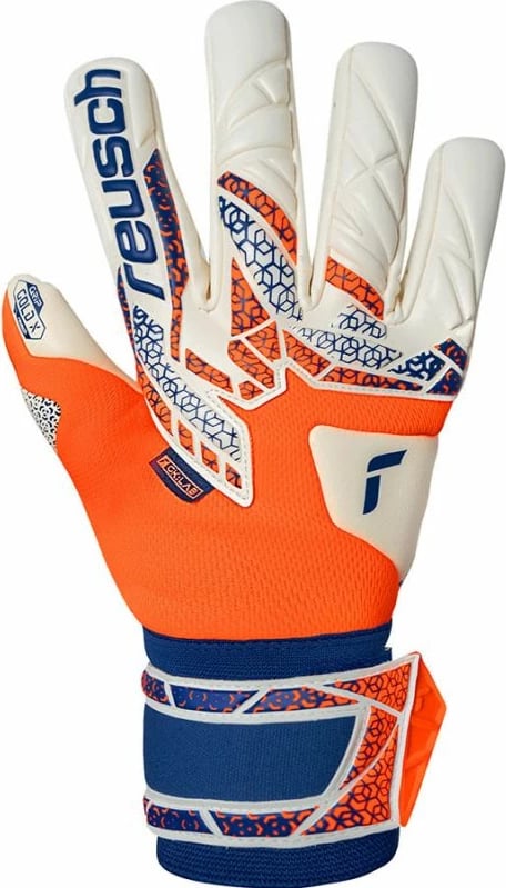 Doreza portieri Reusch, të arta