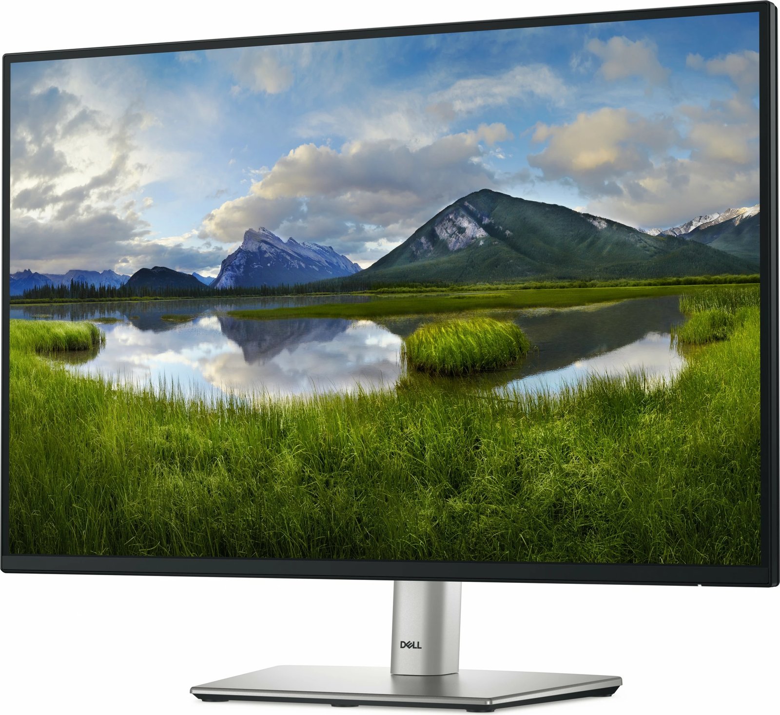 Monitor DELL P Series P2425E, 24.1", 1920 x 1200, LCD, i zi