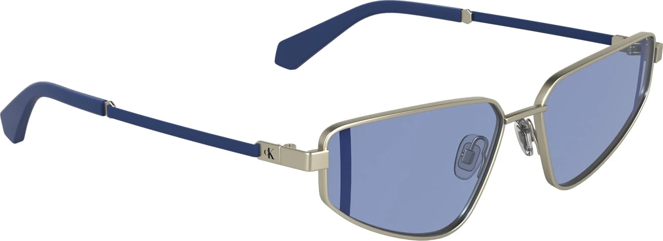 Syze dielli Calvin Klein femra, argjendi