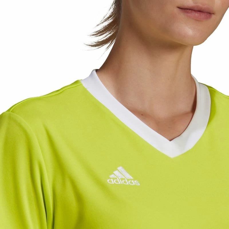 Maicë për Femra adidas Entrada 22 Jsy, ngjyrë jeshile HC5080