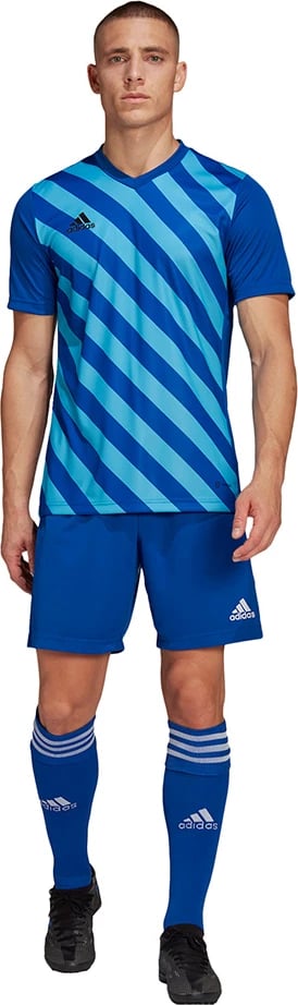 Maicë për meshkuj adidas, kaltër