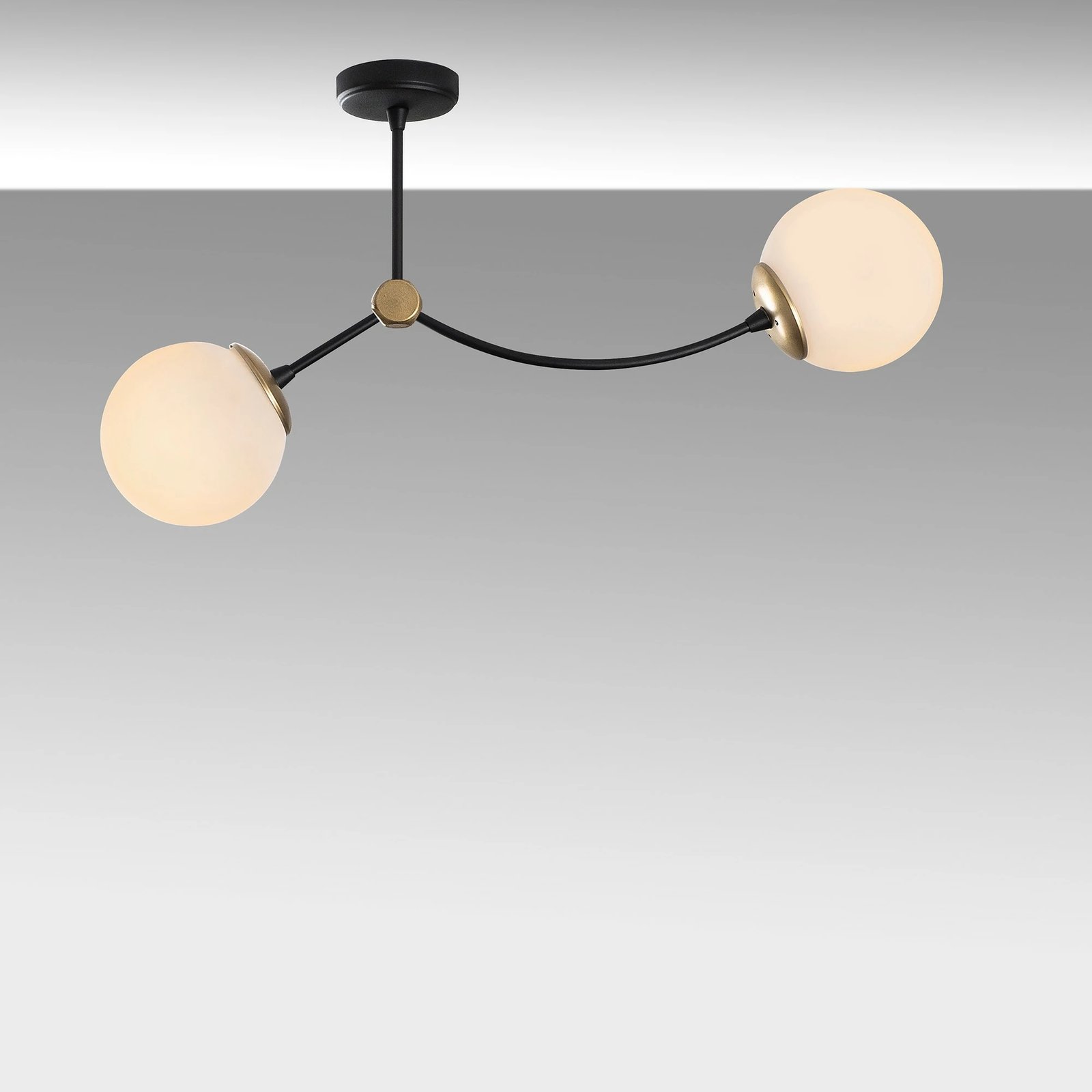 Llambë tavani Opviq, Kromozom - 1011, e bardhë dhe e zezë