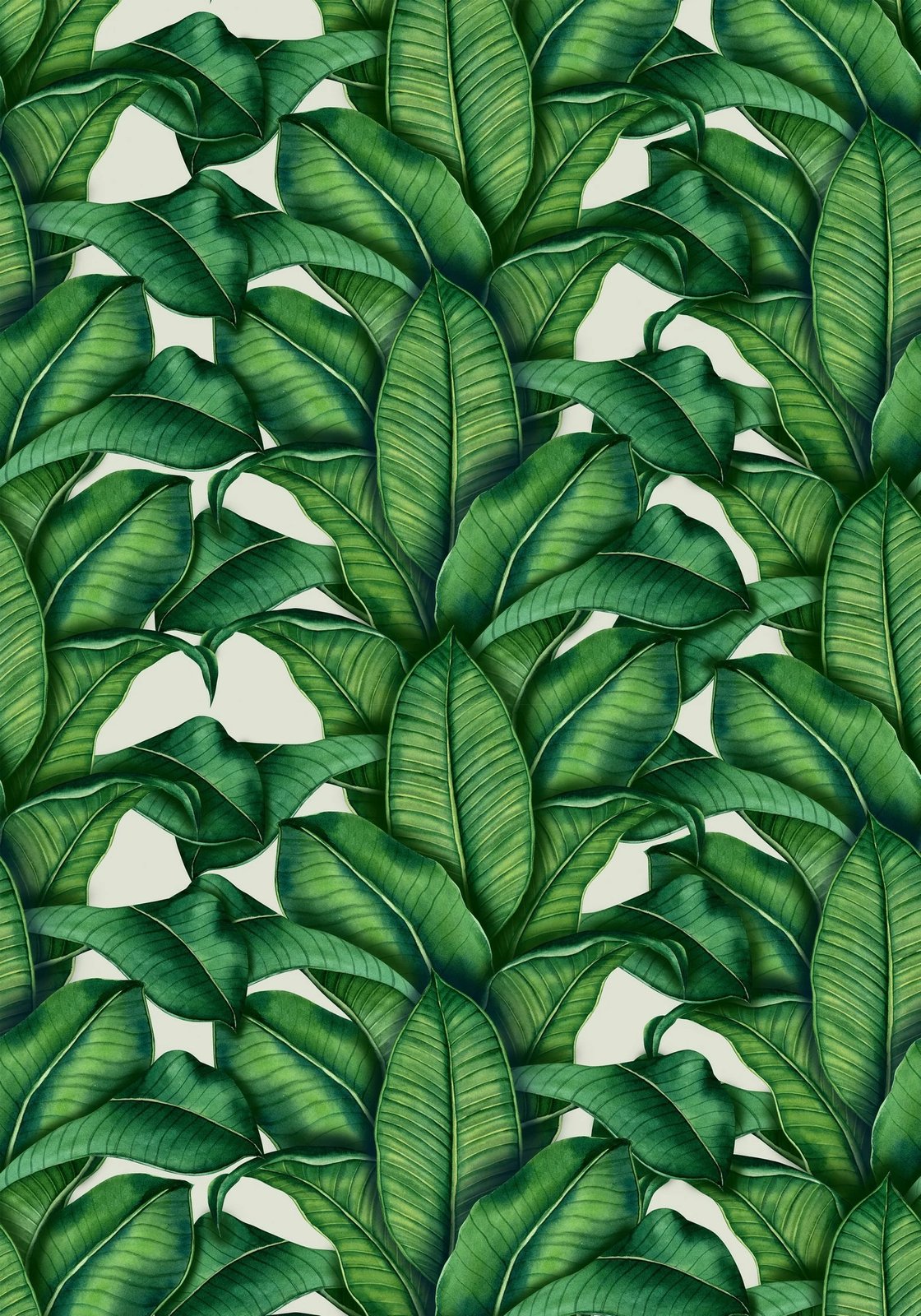 Set tapetesh për banjo (2 copë), Mijolnir, CT-5303