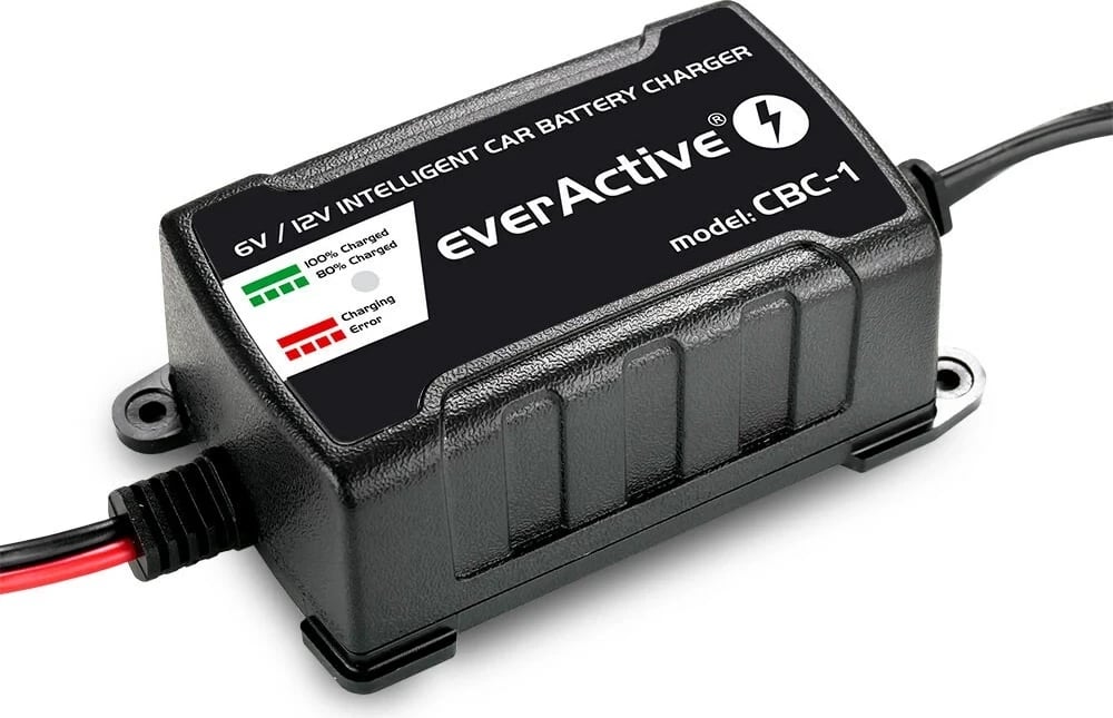Karikues i baterisë së makinës everActive, 6-12V