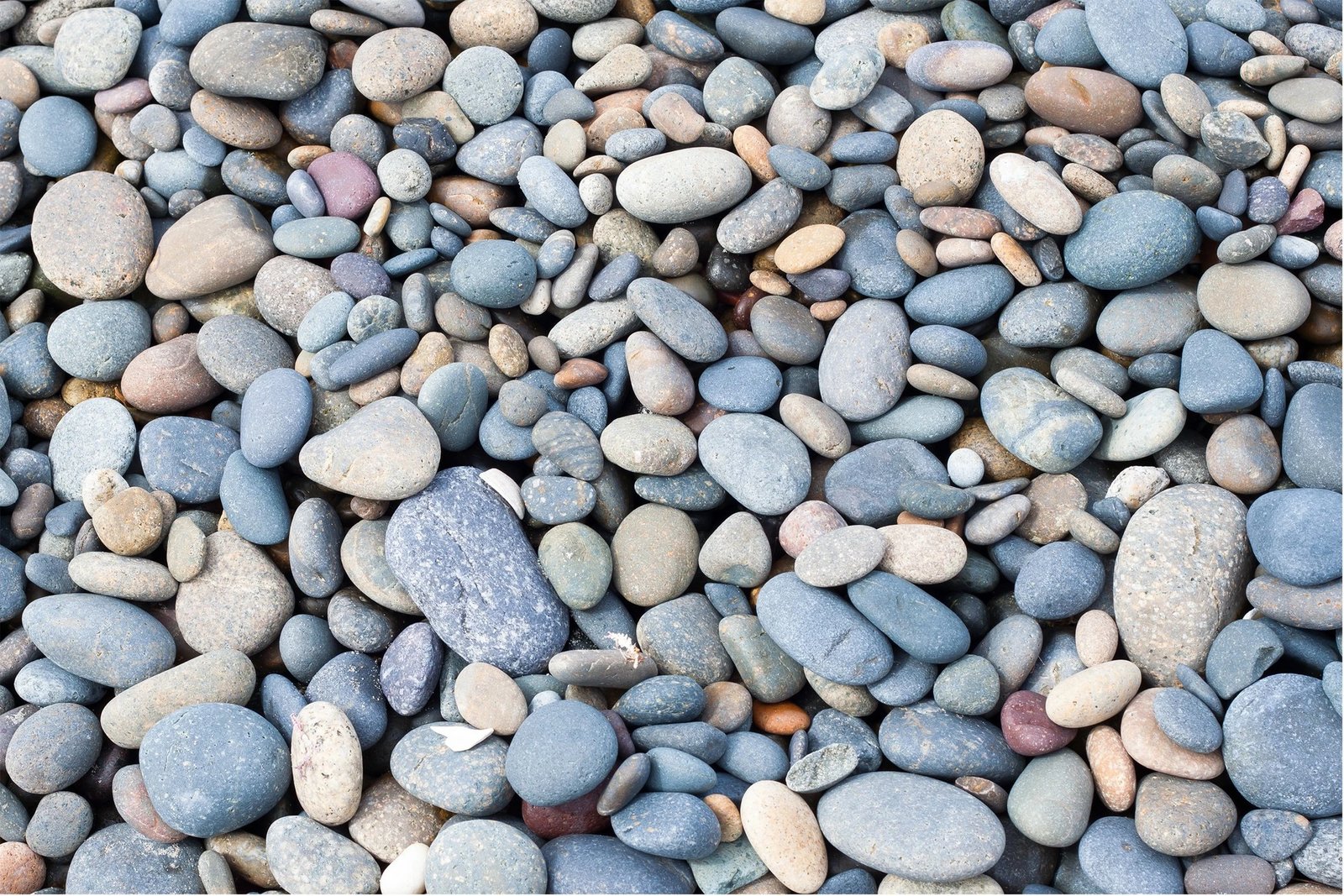 Set tapetash për banjo, shumëngjyrëshe, Mijolnir, CT-5181, 2 copë