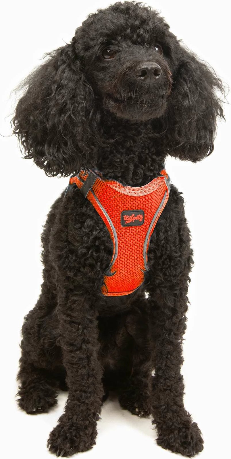 Parzmore për qen, Air-Mesh, ngjyrë portokalli Neo